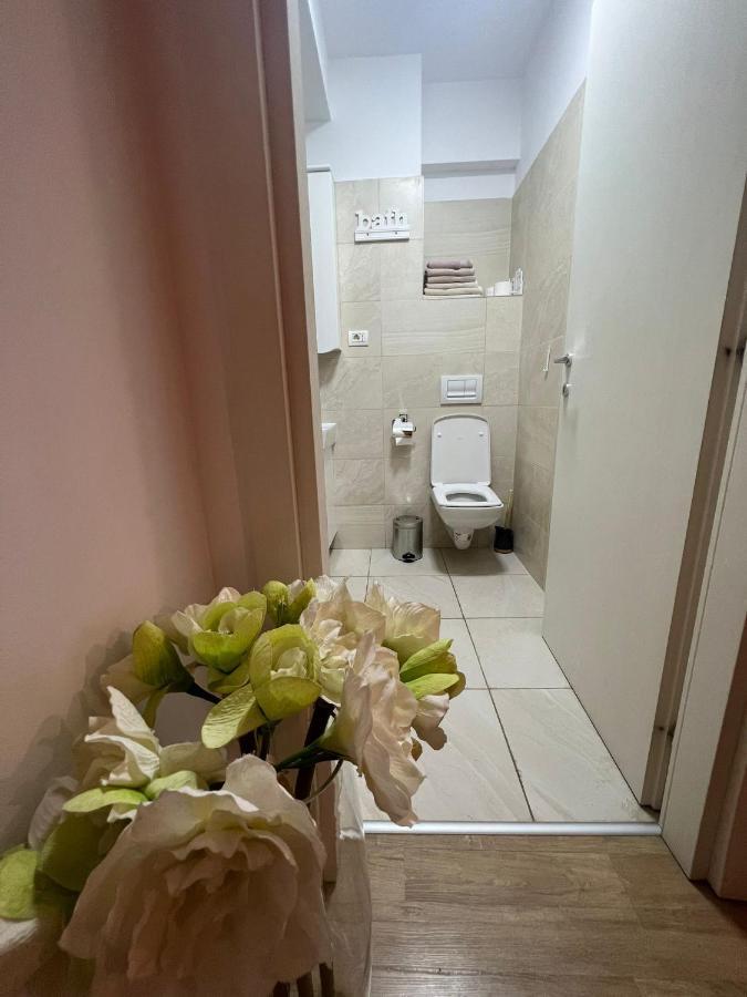 Apart Mihai Viteazu Residence Brassó Kültér fotó